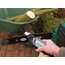 Набір для заточення ланцюга Dremel, изображение 5